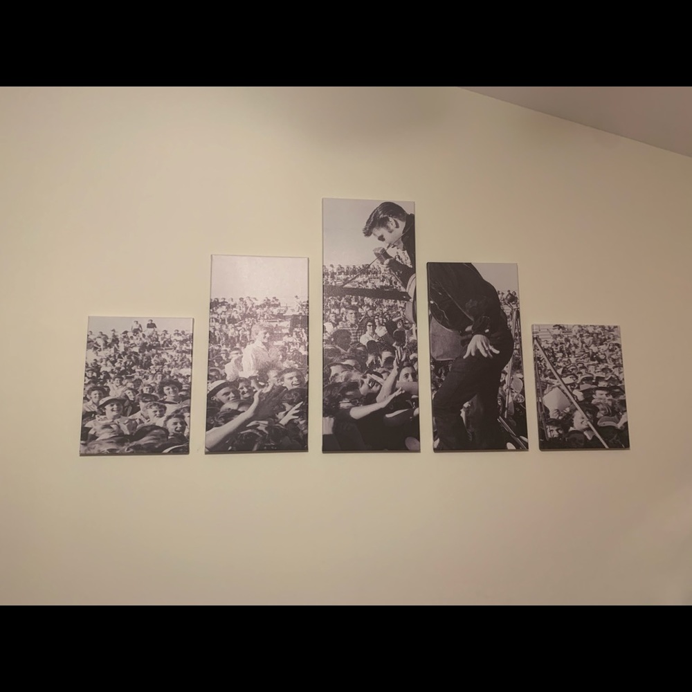 Elvis Presley Canvas